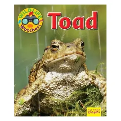 Wildlife Watchers: Toad - Owen, Ruth