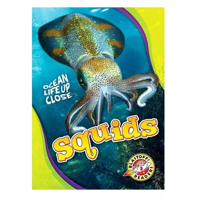 Squids - Sommer, Nathan