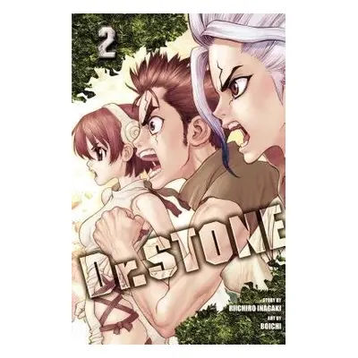 Dr. STONE, Vol. 2 - Inagaki, Riichiro