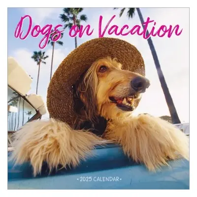 Dogs on Vacation Wall Calendar 2025 - Calendars, Workman