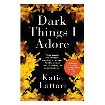 Dark Things I Adore - Lattari, Katie