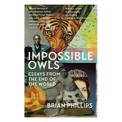 Impossible Owls - Phillips, Brian