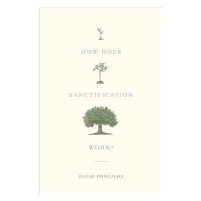 How Does Sanctification Work? - Powlison, David