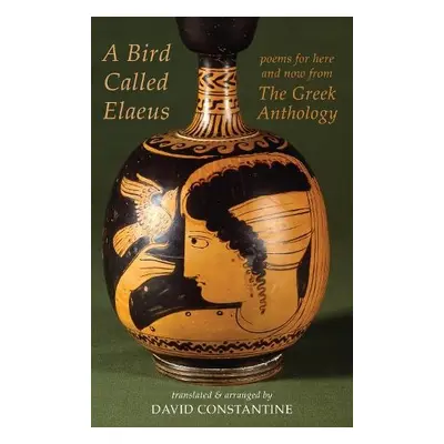 Bird Called Elaeus - Constantine, David J.