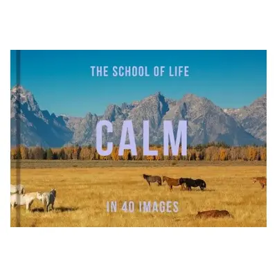 Calm in 40 Images - of Life, The School