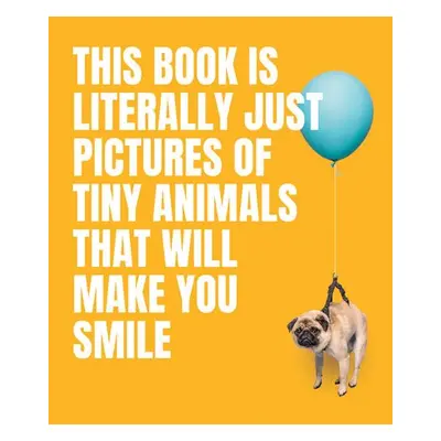 This Book Is Literally Just Pictures of Tiny Animals That Will Make You Smile - Smith Street Boo