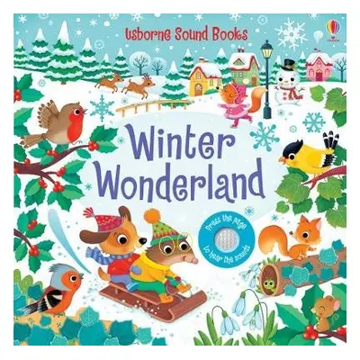 Winter Wonderland Sound Book - Taplin, Sam