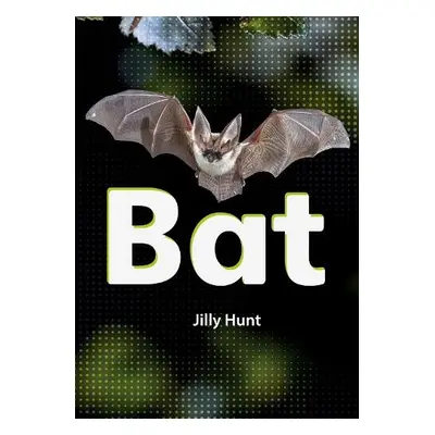 Bat (Set 02) - Hunt, Jilly