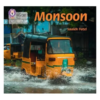 Monsoon - Patel, Saaleh