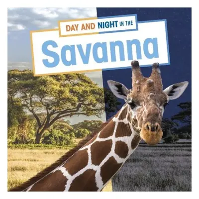 Day and Night in the Savannah - Boone, Mary