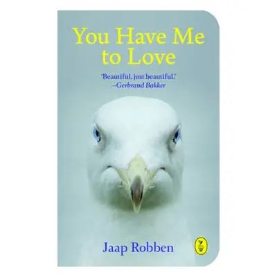 You Have Me To Love - Robben, Jaap