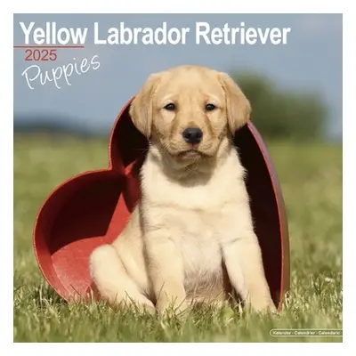 Yellow Labrador Puppies Calendar 2025 Square Dog Puppy Breed Wall Calendar - 16 Month