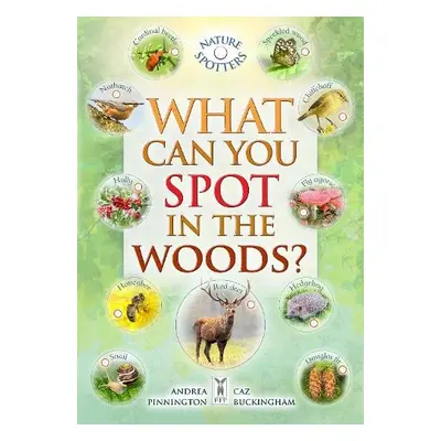 What Can You Spot in the Woods? - Buckingham, Caz a Pinnington, Andrea a Hoare, Ben