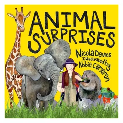 Animal Surprises - Davies, Nicola