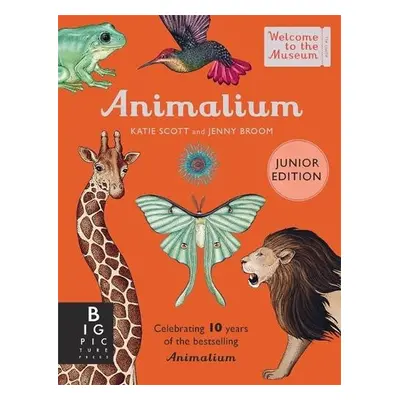 Animalium (Junior Edition) - Broom, Jenny