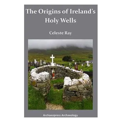 Origins of Ireland's Holy Wells - Ray, Celeste (Professor of Anthropology, University of the Sou