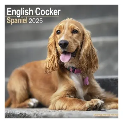 English Cocker Spaniel Calendar 2025 Square Dog Breed Wall Calendar - 16 Month