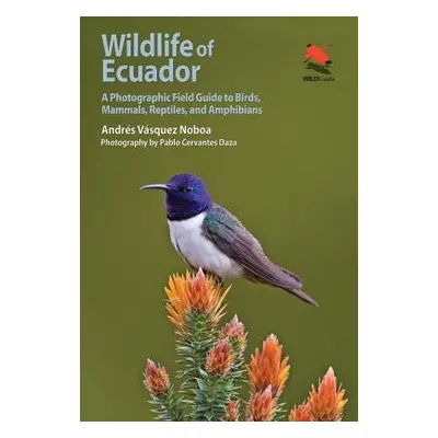 Wildlife of Ecuador - Vasquez Noboa, Andres