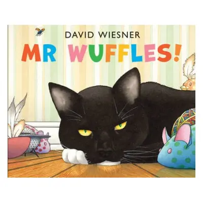 Mr Wuffles! - Wiesner, David