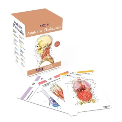 Anatomy Flashcards: 300 Flashcards with Anatomically Precise Drawings and Exhaustive Description