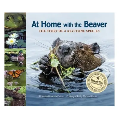 At Home with the Beaver - Patent, Dorothy Hinshaw