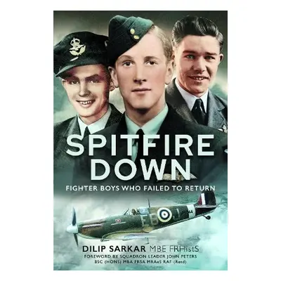 Spitfire Down - Sarkar, Dilip