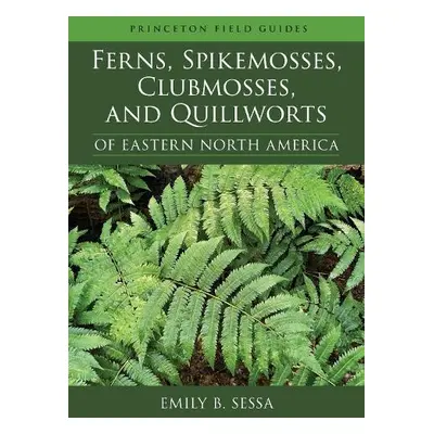 Ferns, Spikemosses, Clubmosses, and Quillworts of Eastern North America - Sessa, Emily