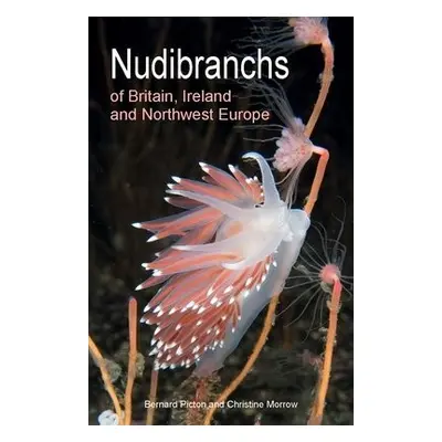 Nudibranchs of Britain, Ireland and Northwest Europe - Picton, Bernard a Morrow, Christine