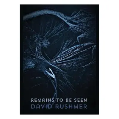 Remains to Be Seen - Rushmer, David