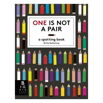 One is Not a Pair - Teckentrup, Britta a Haworth, Katie