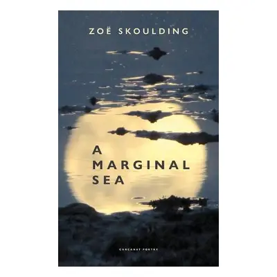 Marginal Sea - Skoulding, Zoe