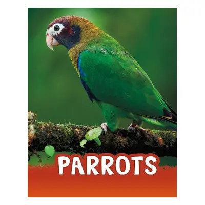 Parrots - Schuh, Mari