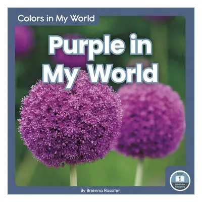 Colors in My World: Purple in My World - Rossiter, Brienna