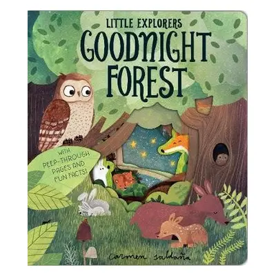 Goodnight Forest - Davies, Becky