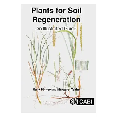 Plants for Soil Regeneration - Pinhey, Sally (Institute of Analytical Plant Illustration, UK) a 