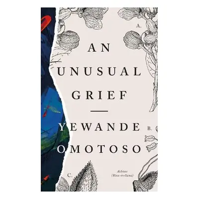 Unusual Grief - Omotoso, Yewande