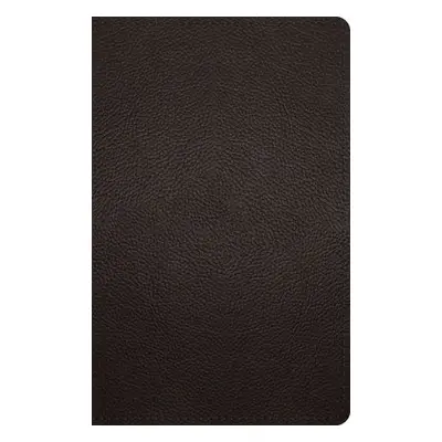 ESV Large Print Personal Size Bible