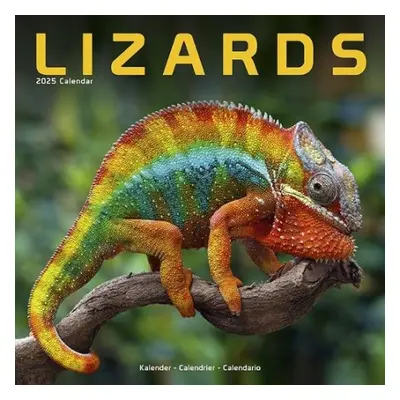 Lizards Calendar 2025 Square Animal Wall Calendar - 16 Month