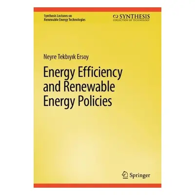 Energy Efficiency and Renewable Energy Policies - Tekbiyik Ersoy, Neyre