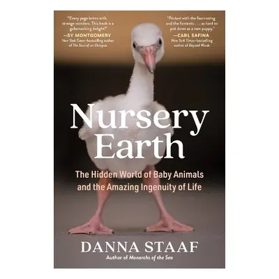 Nursery Earth - Staaf, Danna