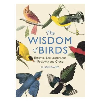 Wisdom of Birds - Davies, Alison