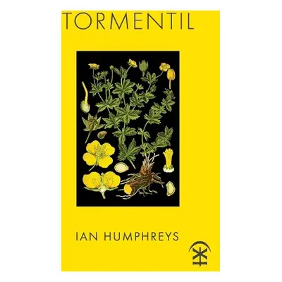 Tormentil - Humphreys, Ian