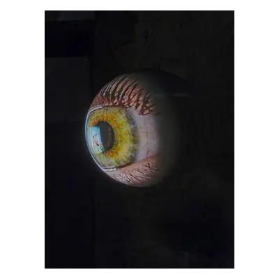 Tony Oursler