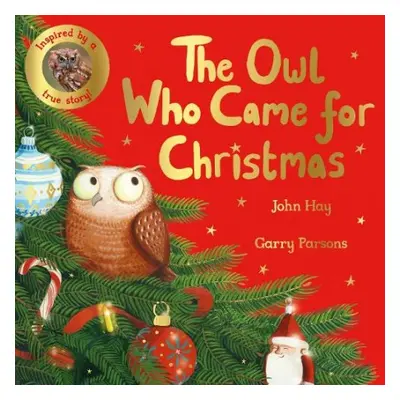 Owl Who Came for Christmas - Hay, John