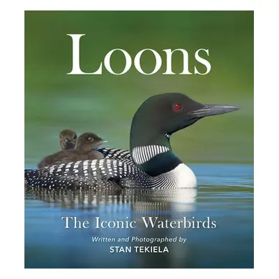 Loons - Tekiela, Stan