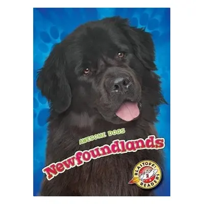 Newfoundlands - Sommer, Nathan