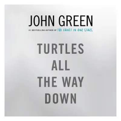 Turtles All the Way Down - Green, John