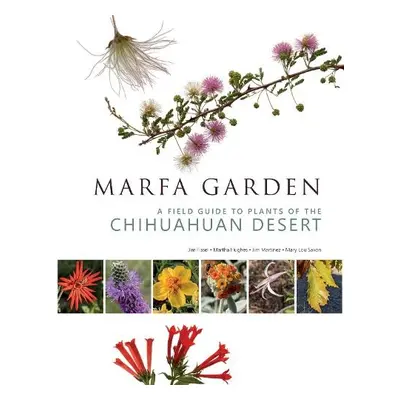 Marfa Garden - Martinez, Jim a Saxon, Mary Lou a Fissel, Jim a Hughes, Martha