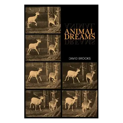 Animal Dreams - Brooks, David