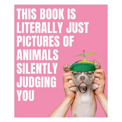 This Book is Literally Just Pictures of Animals Silently Judging You - Smith Street Books